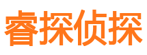 新平市侦探调查公司